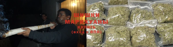 шишки Сосновка