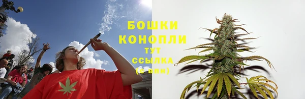 mdpv Сосновоборск