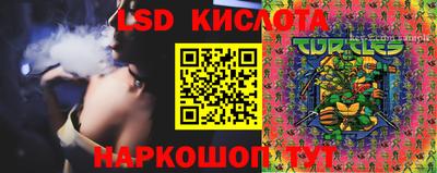PSILOCYBIN Гусь-Хрустальный