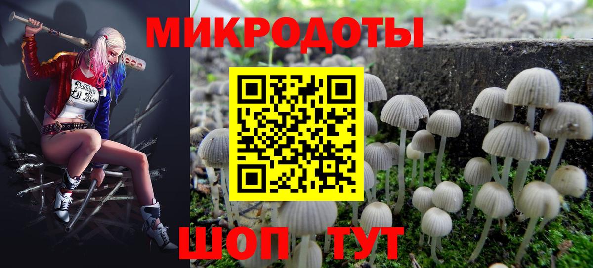 Галлюциногенные грибы Каменск-Шахтинский