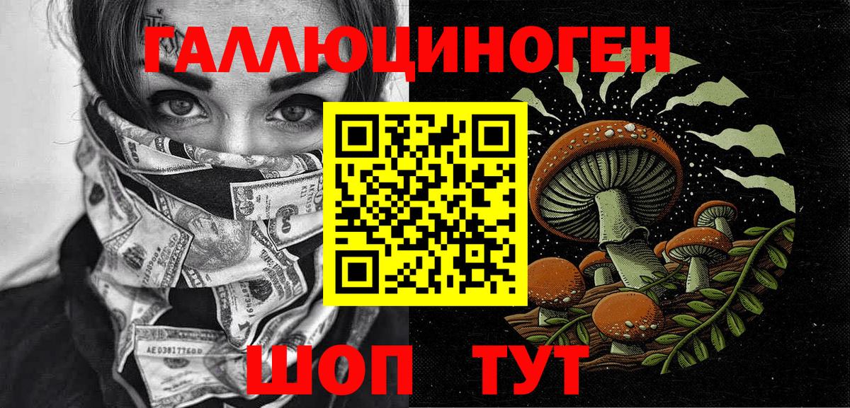 Псилоцибиновые грибы GOLDEN TEACHER Каменск-Шахтинский