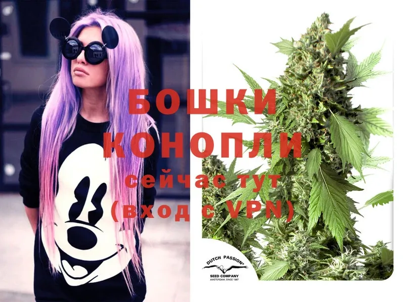 Конопля THC 21%  наркотики  Каменск-Шахтинский 